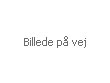 Batteri til Iqua M10 ber�ringsfri h�ndvaskarmatur - 6v batteri.